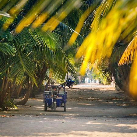 Fehendhoo Stay Dış mekan fotoğraf