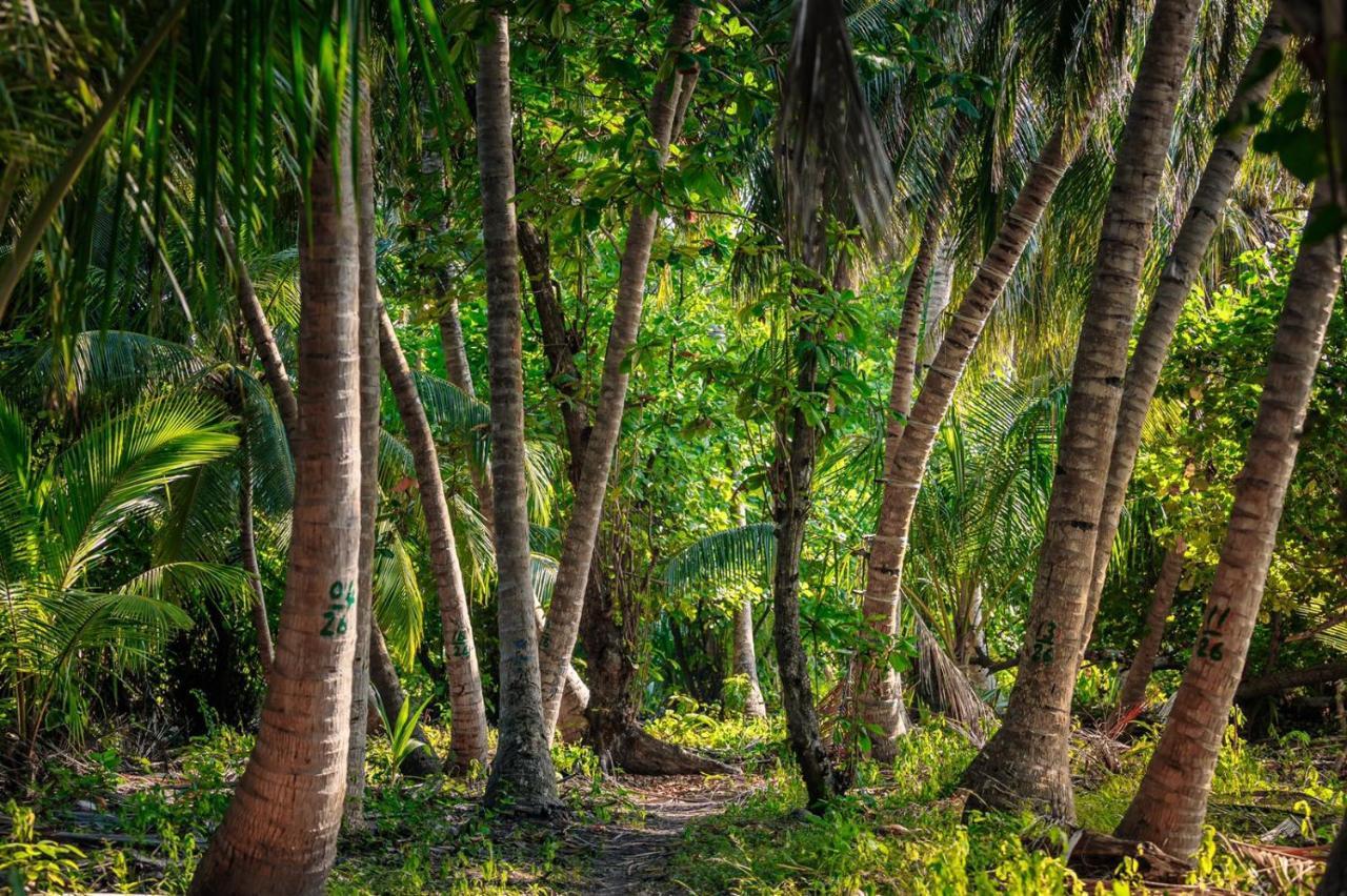 Fehendhoo Stay Dış mekan fotoğraf
