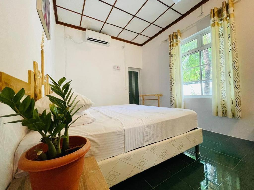 Fehendhoo Stay Dış mekan fotoğraf